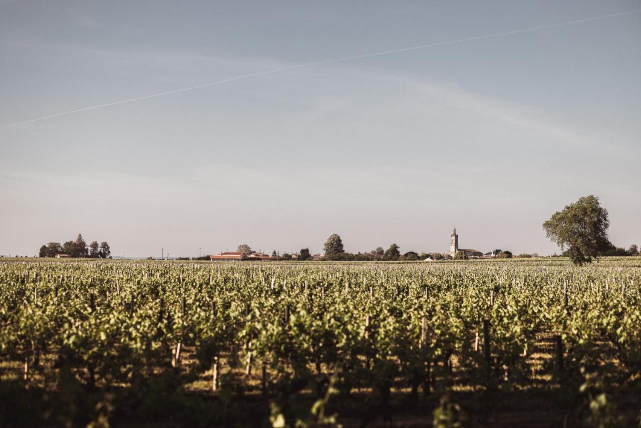 Château Laffitte Carcasset Saint-Estèphe Esterno foto